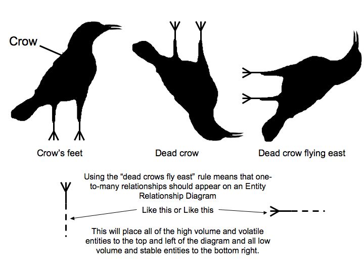 dead-crows-fly-east dead-crows-fly-east